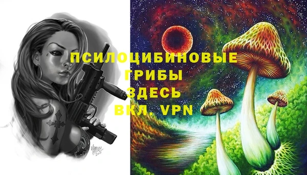 молекула духа Аркадак