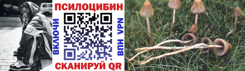 Купить закладки  Острогожск  Галлюциногенные грибы MAGIC MUSHROOMS 